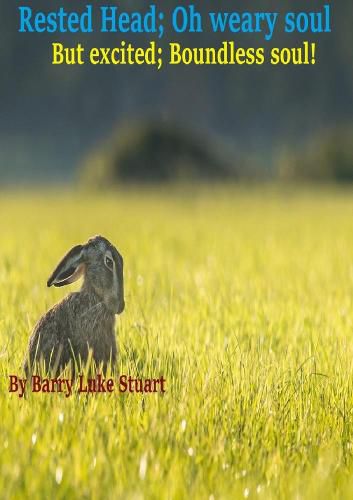 Cover image for Rested head; Oh weary soul. But excited; boundless soul