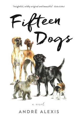 Cover image for Fifteen Dogs