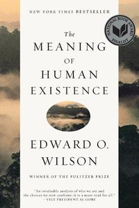 Cover image for The Meaning of Human Existence