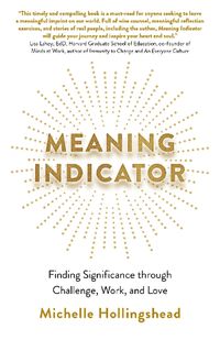 Cover image for Meaning Indicator