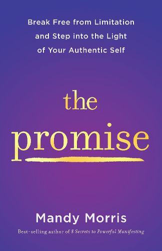 Cover image for The Promise