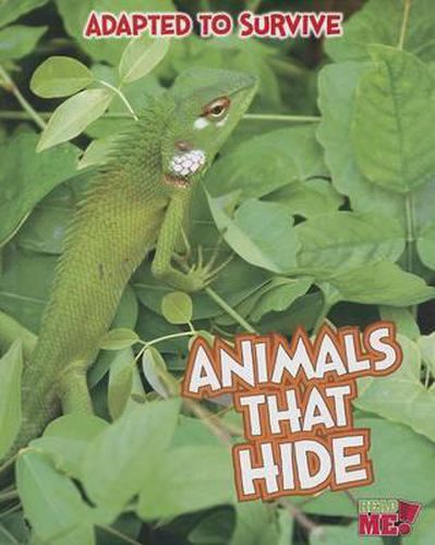 Cover image for Animals That Hide