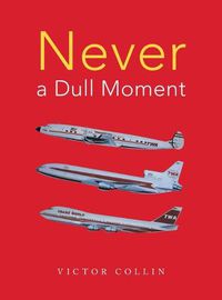 Cover image for Never a Dull Moment