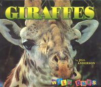 Cover image for Giraffes