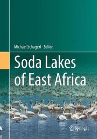 Cover image for Soda Lakes of East Africa