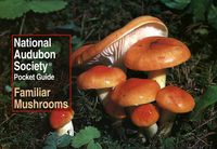 Cover image for National Audubon Society Pocket Guide: Familiar Mushrooms