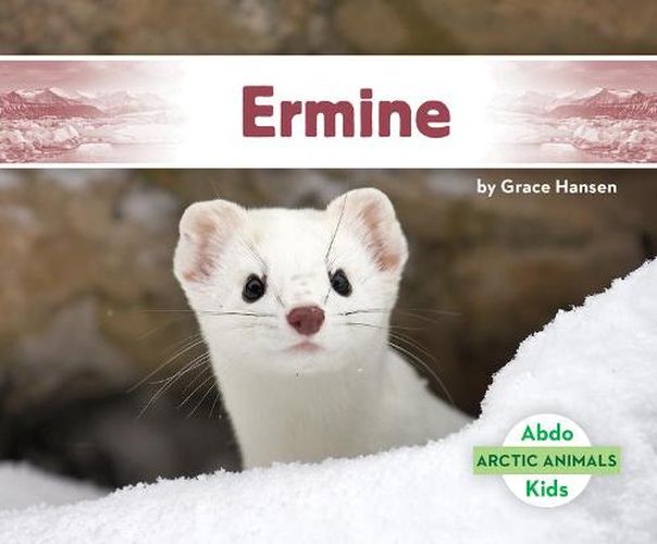 Cover image for Ermine