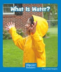 Cover image for What Is Water?