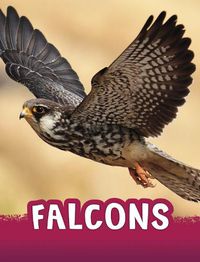 Cover image for Falcons