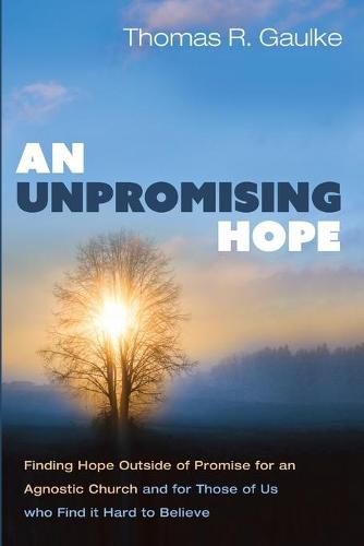 Cover image for An Unpromising Hope
