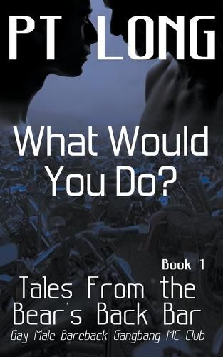 Cover image for Tales From the Bear's Back Bar: What Would You Do?: Gay Male Bareback Gangbang MC Club