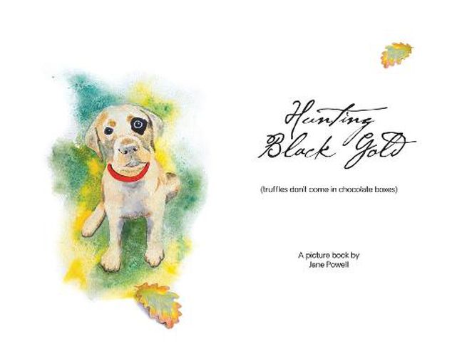 Cover image for Hunting Black Gold (truffles don't come in chocolate boxes)