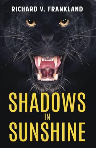 Cover image for Shadows in Sunshine