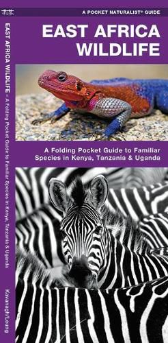 Cover image for East Africa Wildlife: A Folding Pocket Guide to Familiar Species in Kenya, Tanzania & Uganda