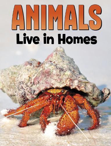 Cover image for Animals Live in Homes