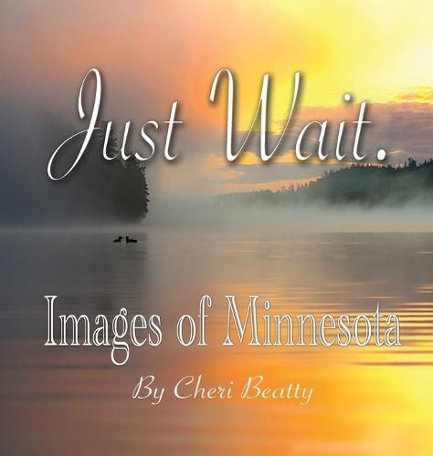 Cover image for Just Wait