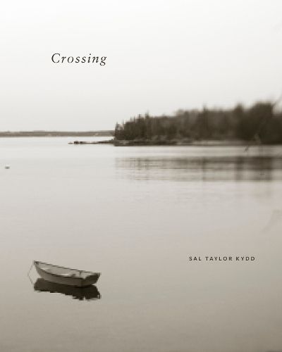 Cover image for Crossing