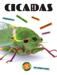 Cover image for Cicadas