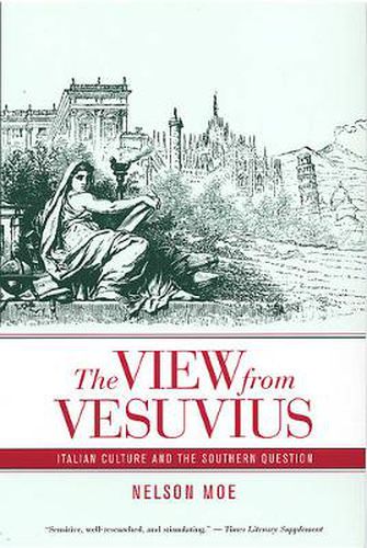 Cover image for The View from Vesuvius: Italian Culture and the Southern Question