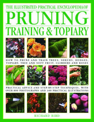 Cover image for Illustrated Practical Encyclopedia of Pruning, Training and Topiary