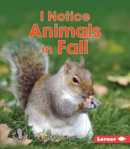 Cover image for I Notice Animals in Fall