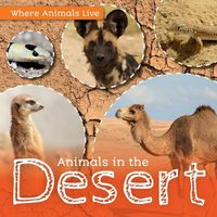 Cover image for Animals in the Desert
