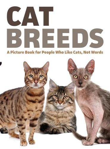 Cover image for Cat Breeds: A Picture Book for People Who Like Cats, Not Words