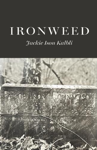 Cover image for Ironweed