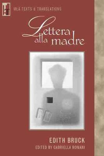 Cover image for Lettera Alla Madre