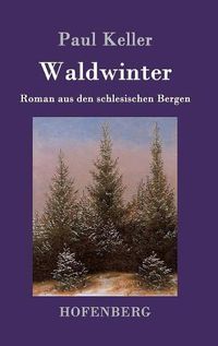 Cover image for Waldwinter: Roman aus den schlesischen Bergen