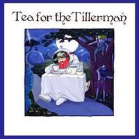 Cover image for Tea For The Tillerman 2