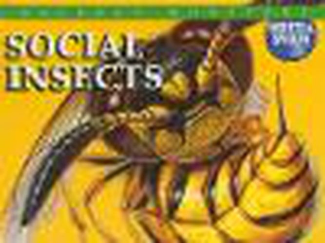 Cover image for Social Insects