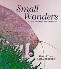 Cover image for Small Wonders