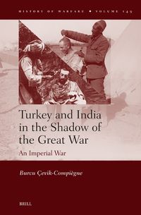 Cover image for Turkey and India in the Shadow of the Great War