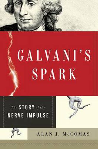 Cover image for Galvani's Spark: The Story of the Nerve Impulse