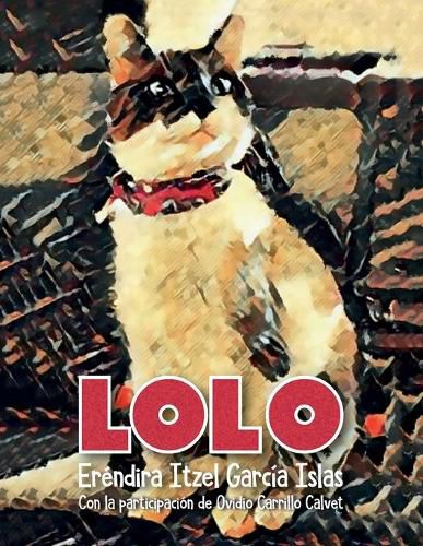 Cover image for Lolo