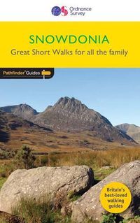 Cover image for Snowdonia