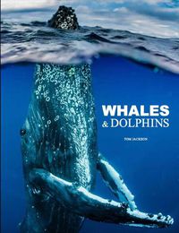 Cover image for Whales & Dolphins