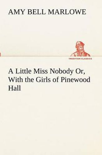 Cover image for A Little Miss Nobody Or, With the Girls of Pinewood Hall