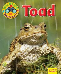 Cover image for Wildlife Watchers: Toad