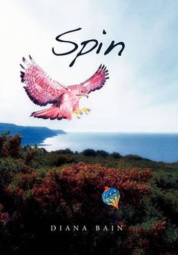 Cover image for Spin