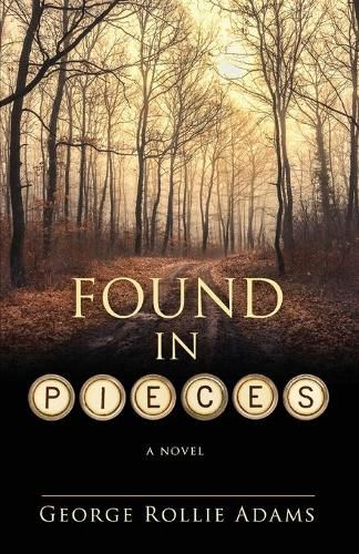 Cover image for Found in Pieces