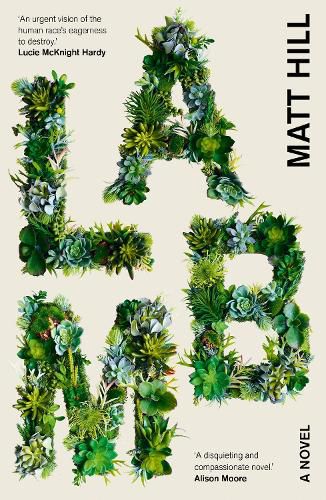 Cover image for Lamb