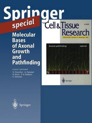 Cover image for Molecular Bases of Axonal Growth and Pathfinding