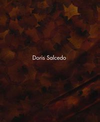 Cover image for Doris Salcedo