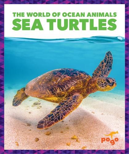 Cover image for Sea Turtles