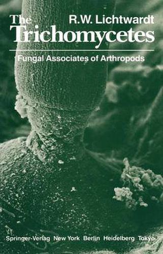 Cover image for The Trichomycetes: Fungal Associates of Arthropods