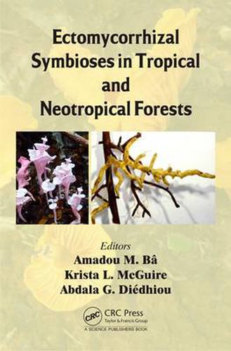Cover image for Ectomycorrhizal Symbioses in Tropical and Neotropical Forests