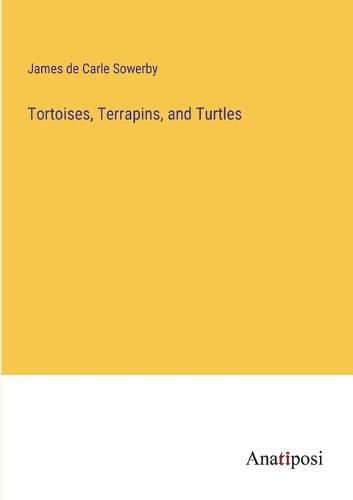 Cover image for Tortoises, Terrapins, and Turtles