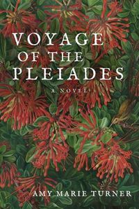 Cover image for Voyage of the Pleiades